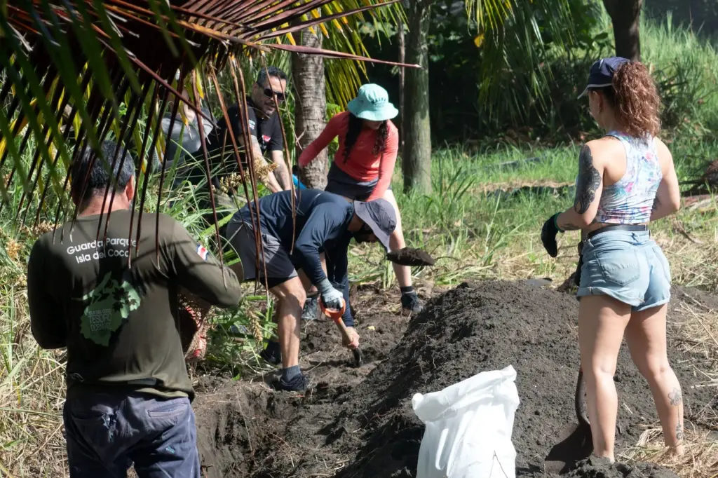 Save turtles to keep alive the legacy of an environmentalist murdered in Costa Rica