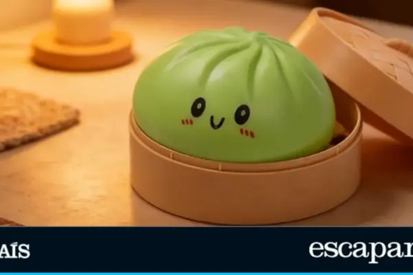The Dumpling Squishy replace the Labubus and are already the new obsession on TikTok