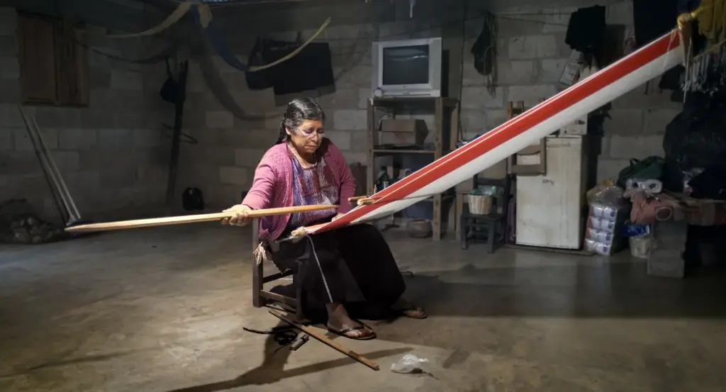 Indigenous Peoples' Cinema of Mexico: Stories Told by Their Own Voices and Aiming to Reach a Wide Audience