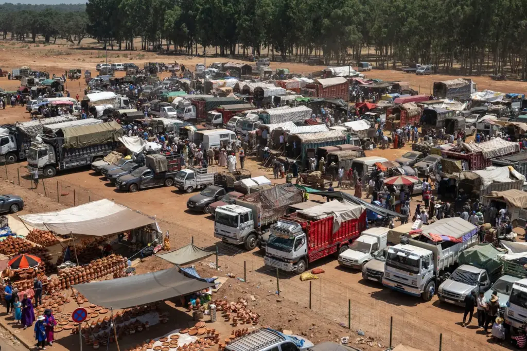 The lambs return to Morocco in a Sacrifice Festival under political tension and social crisis