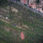 The Viveros de Coyoacán in Mexico City are closed until further notice