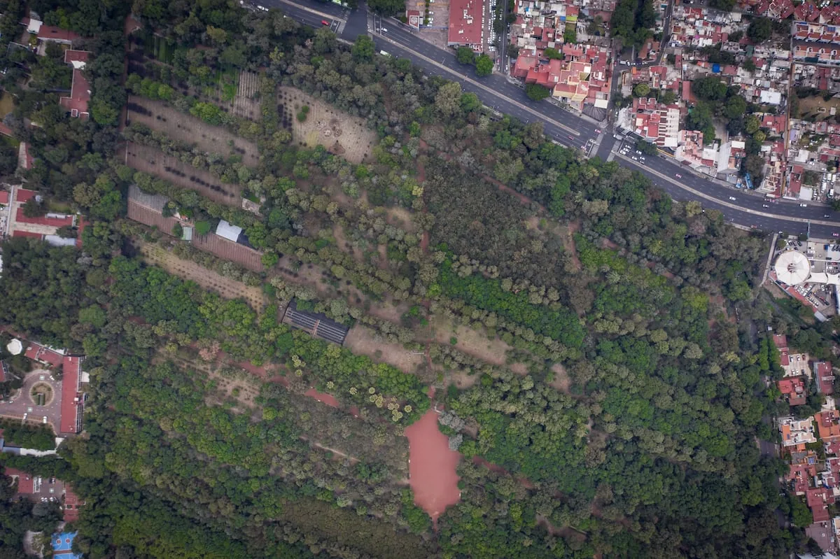The Viveros de Coyoacán in Mexico City are closed until further notice