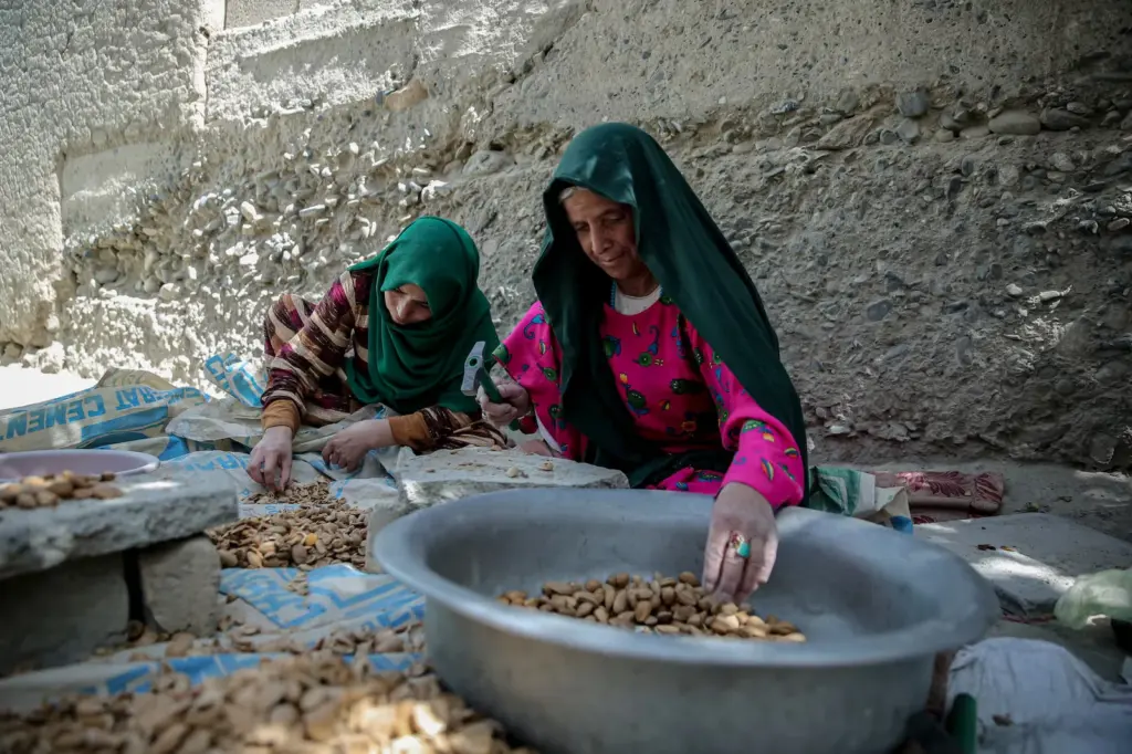 Hell on the land of Afghan women: from the ban on studying to the legal rape of girls