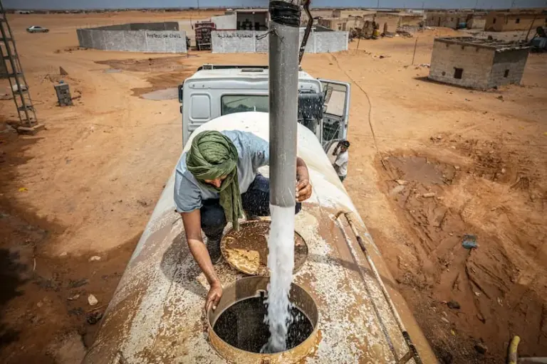 The collapse of humanitarian aid deepens the scar of the Sahrawi people: “There are families who don’t even have enough to buy a piece of chicken per week”