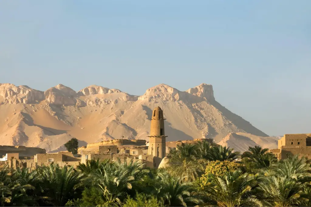 Dakhla Oasis, in Egypt.