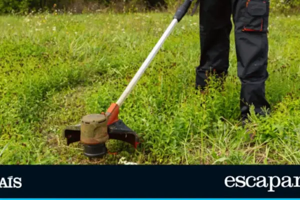 The five highest-rated battery-powered brush cutters on Amazon to effortlessly care for your garden