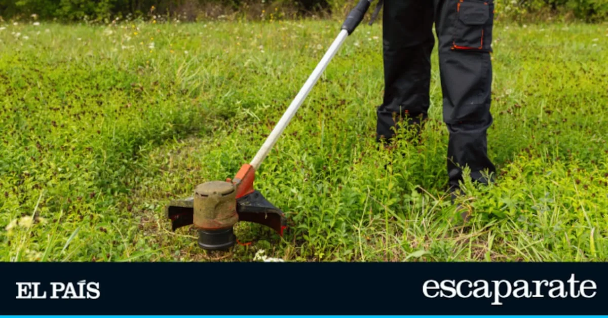 The five highest-rated battery-powered brush cutters on Amazon to effortlessly care for your garden