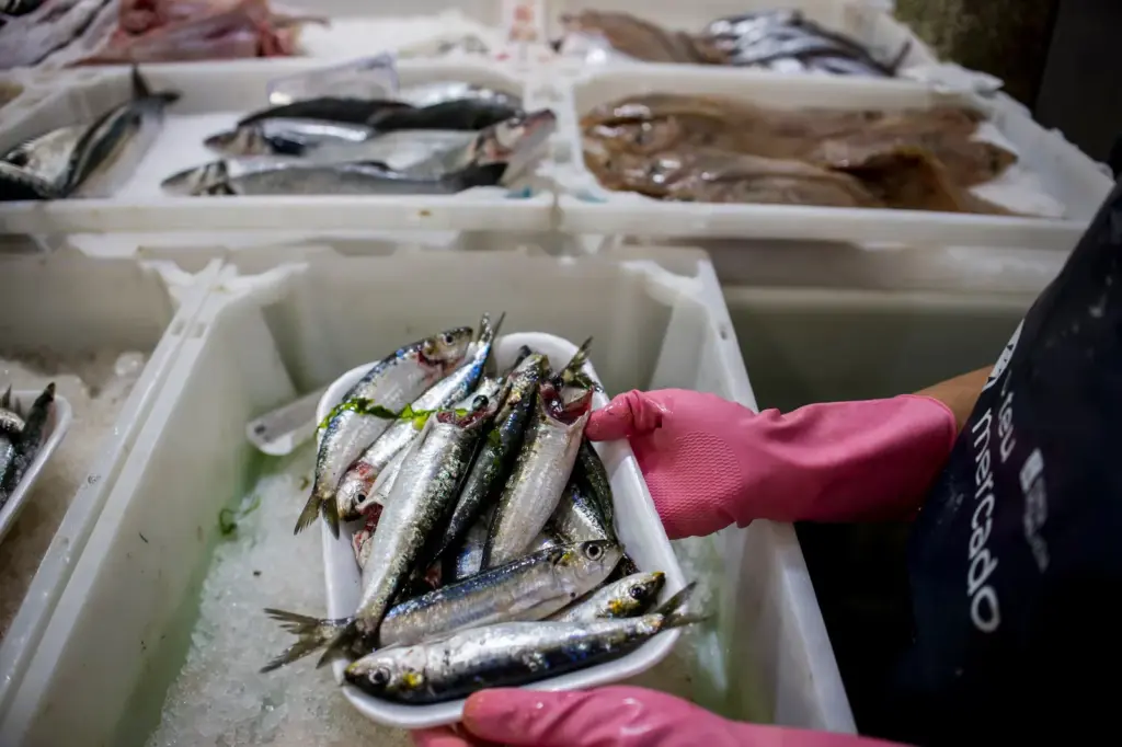 What to buy in June at the market: beautiful sardines arrive, bonito appears, brevas debut, and cherries shine