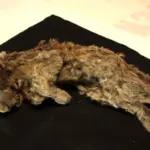 The cave lion was not a lion: DNA reveals a species with nearly two million years of its own history