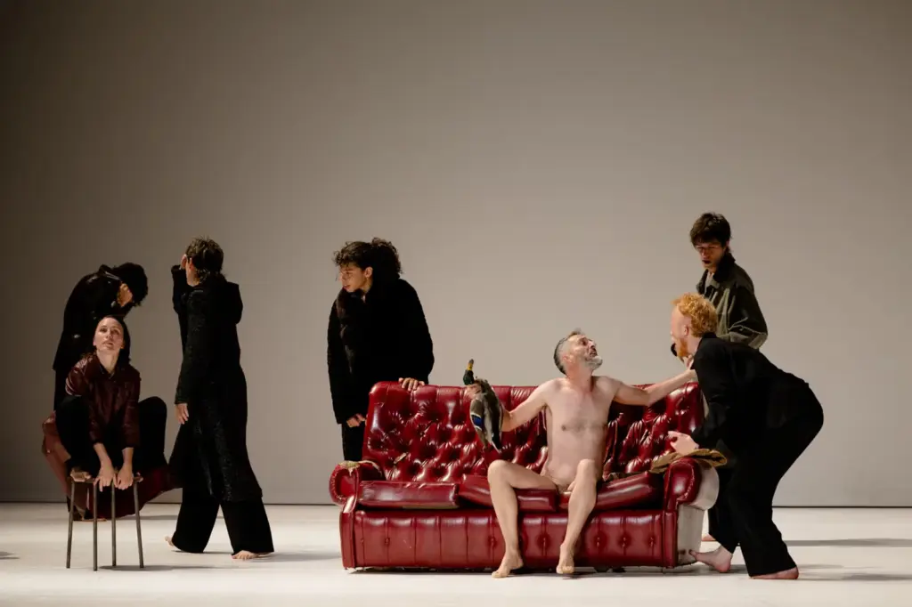 ‘We’, by Compañía Mal Pelo: dance that overwhelms and reveals