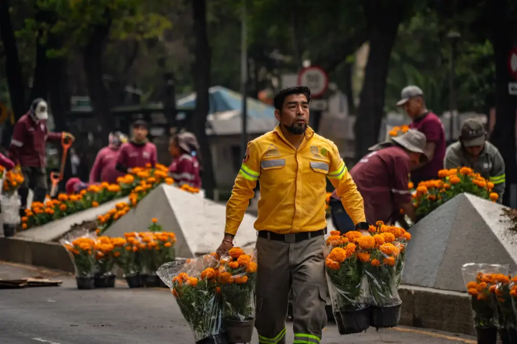 The World Cup brings forward the cempasúchil season in Mexico City