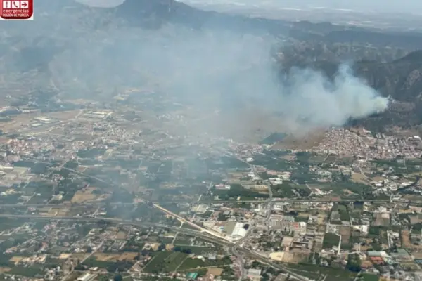 Murcia requests help from the UME and aerial resources from other communities to extinguish a forest fire in its municipality