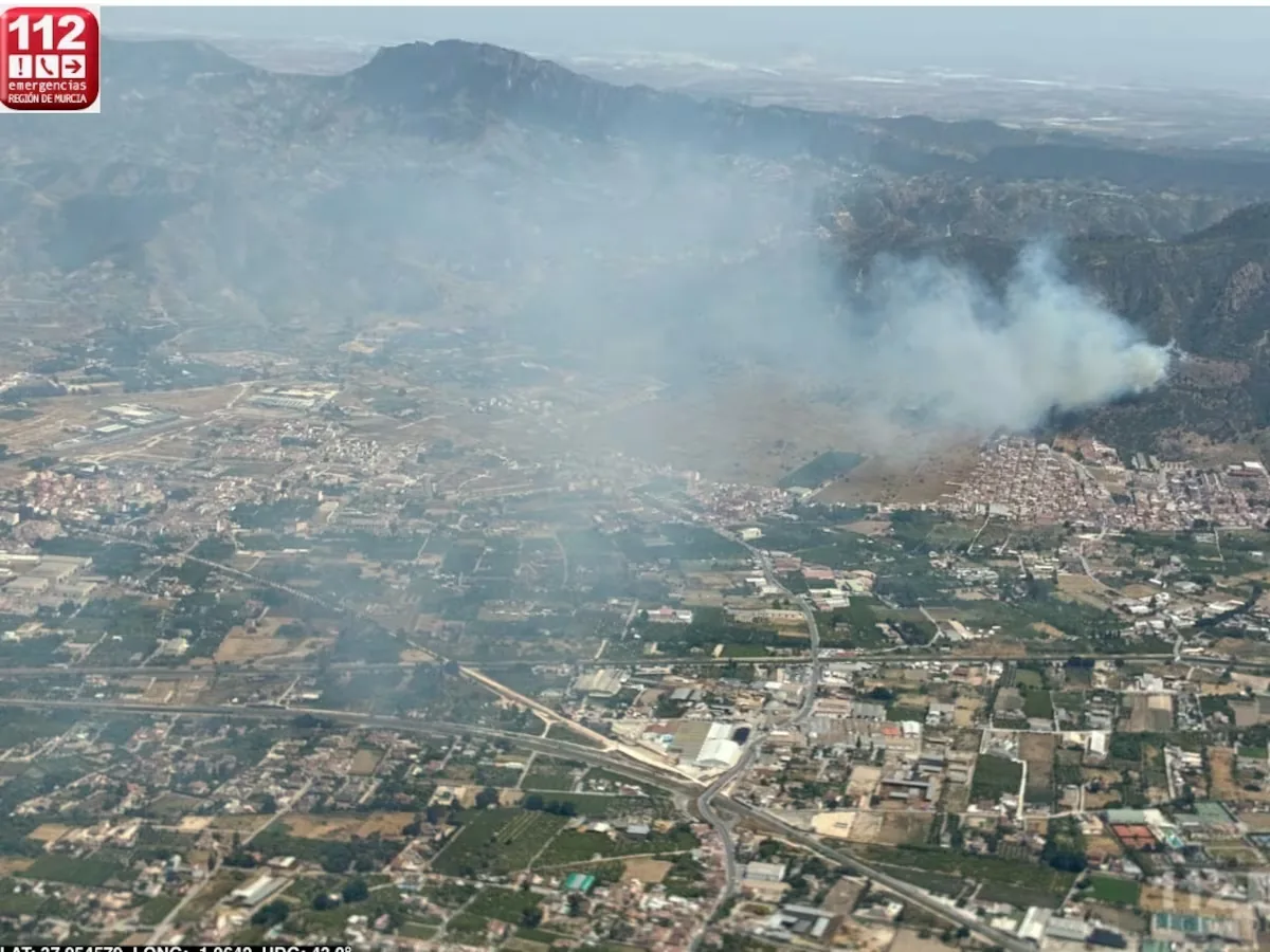 Murcia requests help from the UME and aerial resources from other communities to extinguish a forest fire in its municipality