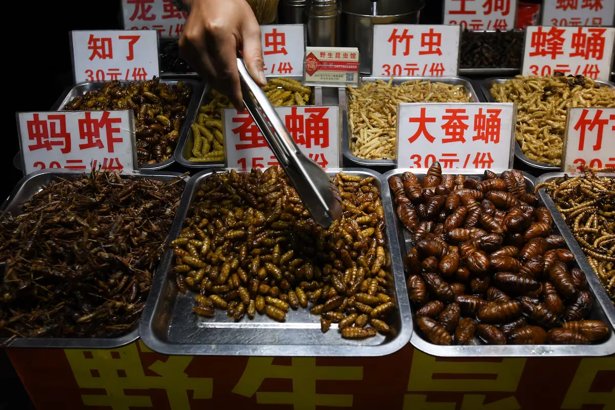 The Europeans' disgust at including insects in their diet comes from afar and is biological