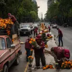 The World Cup brings forward the cempasúchil season in Mexico City