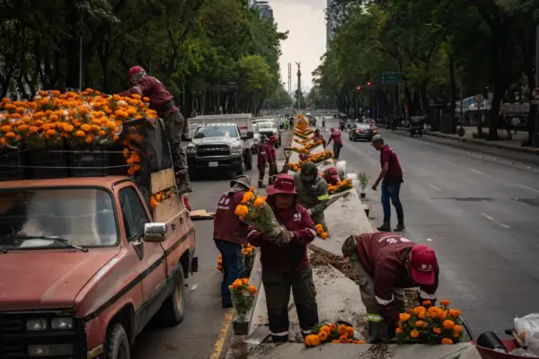 The World Cup brings forward the cempasúchil season in Mexico City