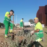 Controversy in Murcia over instructions to employees to leave work to attend a conference by a councilor of the area