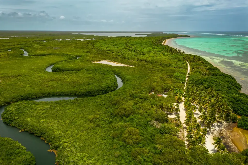 La secretaria de Medio Ambiente viaja a Mahahual tras la cancelación del parque turístico Perfect Day