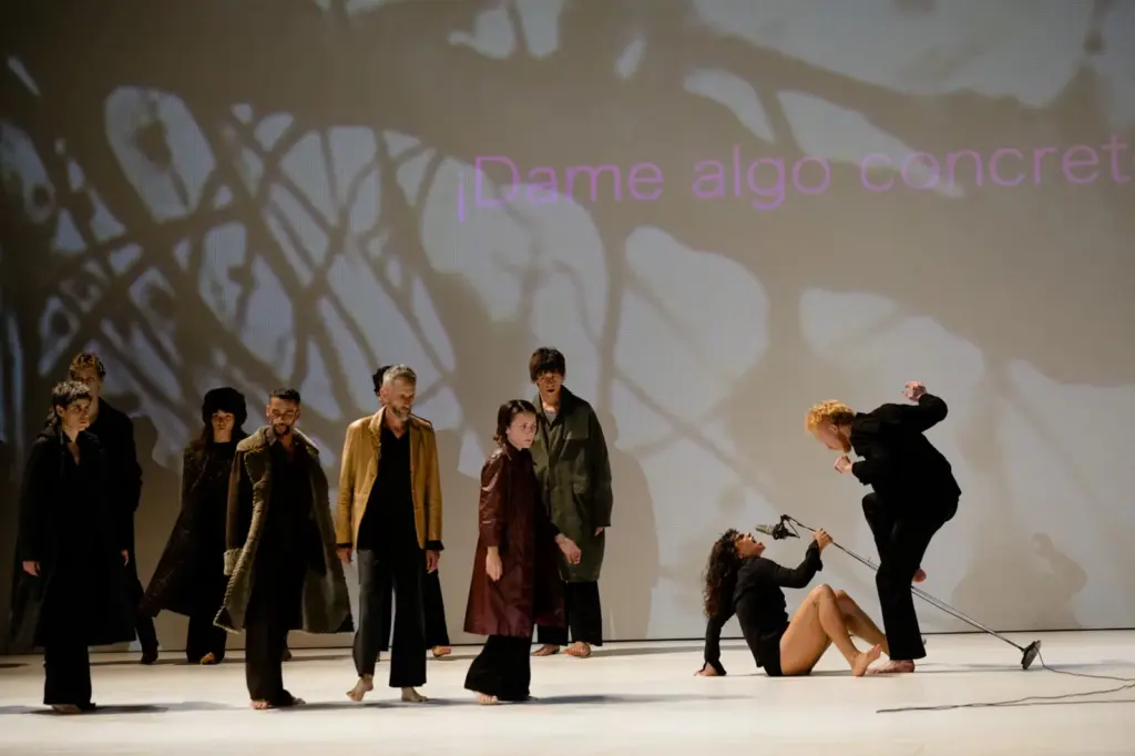 ‘We’, by Compañía Mal Pelo: dance that overwhelms and reveals