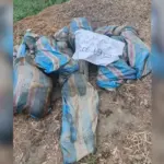 Eight young people disappeared in Ecuador, bodies in jute sacks and a chain of obstacles