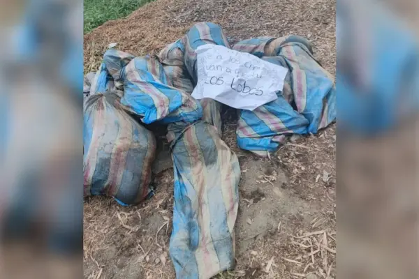 Eight young people disappeared in Ecuador, bodies in jute sacks and a chain of obstacles