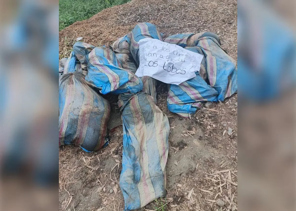 Eight young people disappeared in Ecuador, bodies in jute sacks and a chain of obstacles