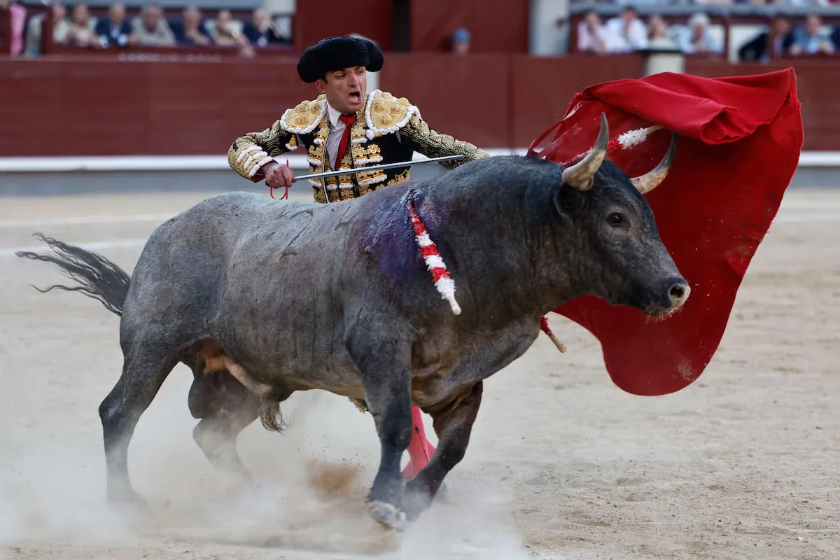 The unbearable effort of Damián Castaño