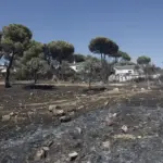 The fire in Madrid leaves more than 20,000 confined: “We have to stay at home and go out as little as possible for prevention”
