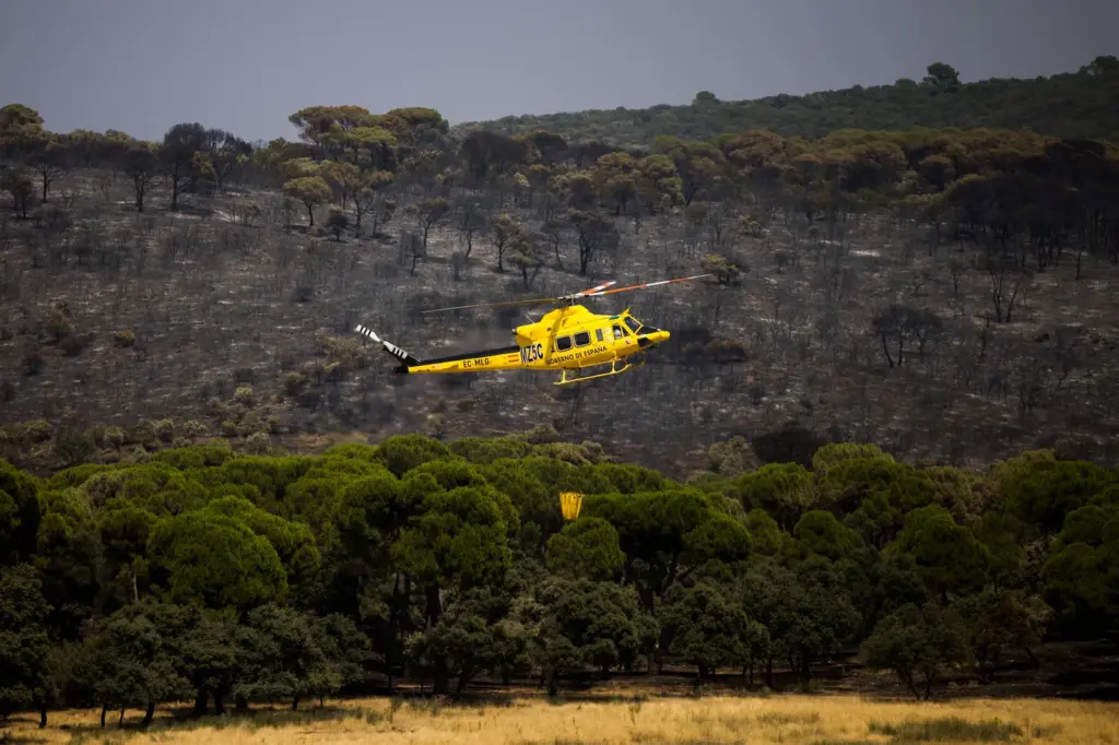 Unprecedented heat waves and the change in our relationship with the countryside: the cocktail behind the wildfires ravaging Spain
