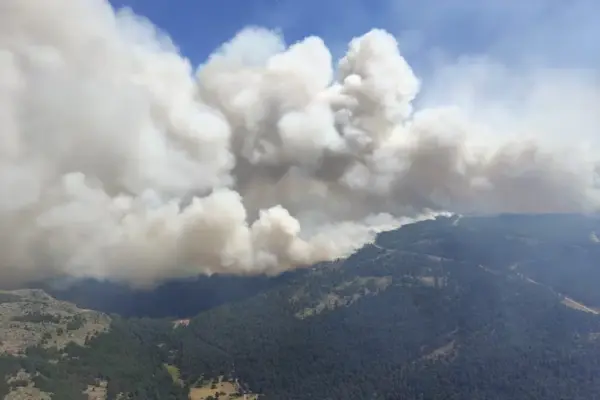 The Guadalajara fire is nearing 30,000 hectares burned, and 34 municipalities have already been evacuated