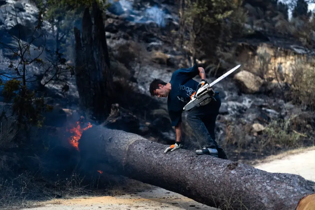 Experiencing the Ávila fire with the Gómez family: “The Civil Guard wanted to arrest us for cutting down some trees to prevent the fire from reaching the restaurant”