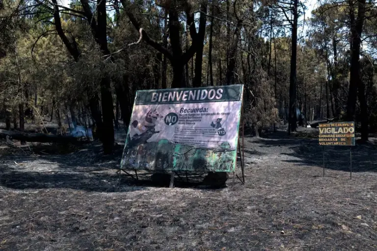 The return of the flames to Casavieja 21 years after the death of firefighter Javier Tirado