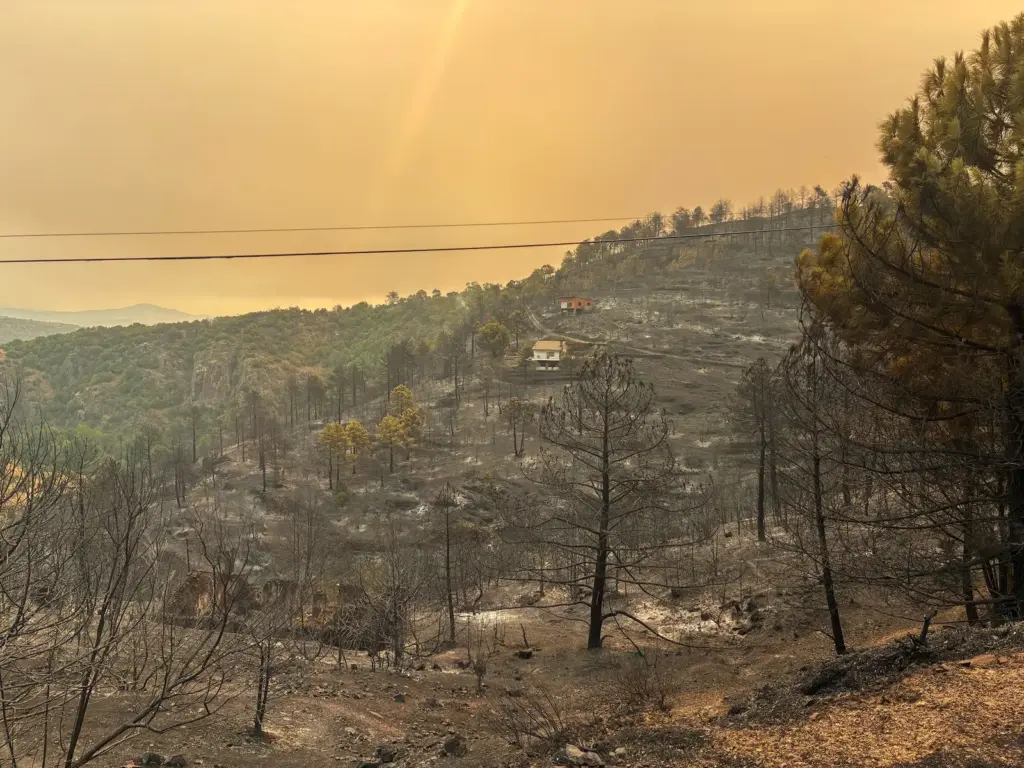 Fire, rage and overwhelmed firefighters in the Iruelas Valley (Ávila): “It was a column of black smoke as if tires were burning”