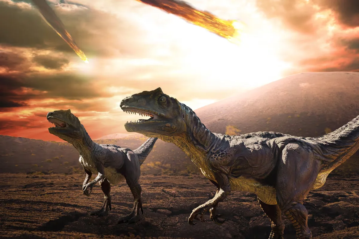 Did the dinosaurs scorch in a few hours? The meteorite created a dust layer that turned the planet into a grill