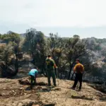 Race against the fire in Ávila and Madrid: 24 critical hours before the heat wave