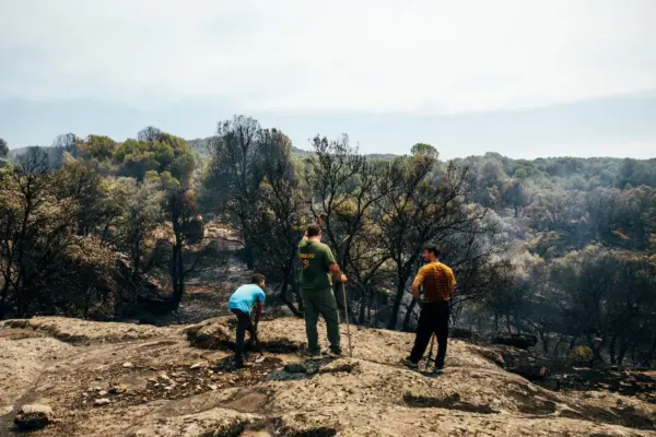 Race against the fire in Ávila and Madrid: 24 critical hours before the heat wave