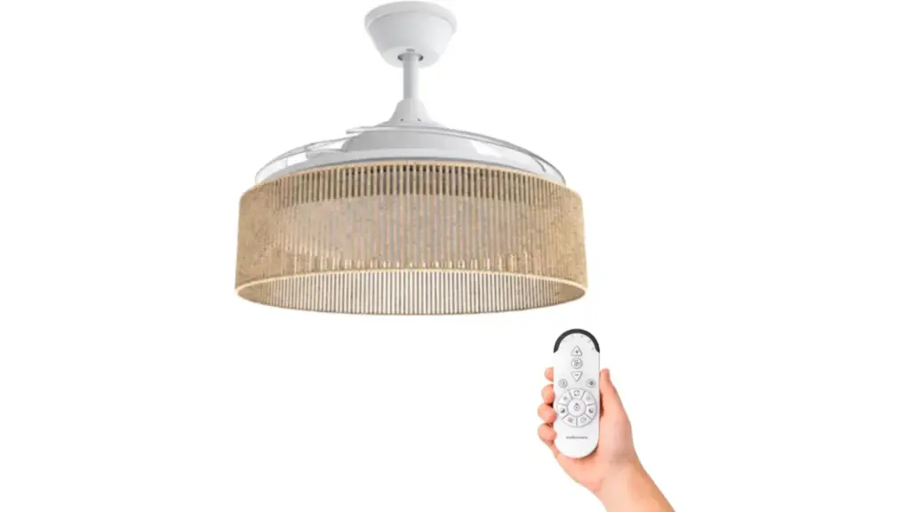 This ceiling fan doesn't look like a fan and is ideal for any decor