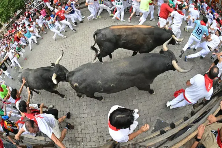 The nobility and speed of the miuras allow exciting races in a clean seventh running of the San Fermín