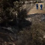 Last major sweep in Los Gallardos: one hundred operatives scour 217 burned hectares in a search for life or death