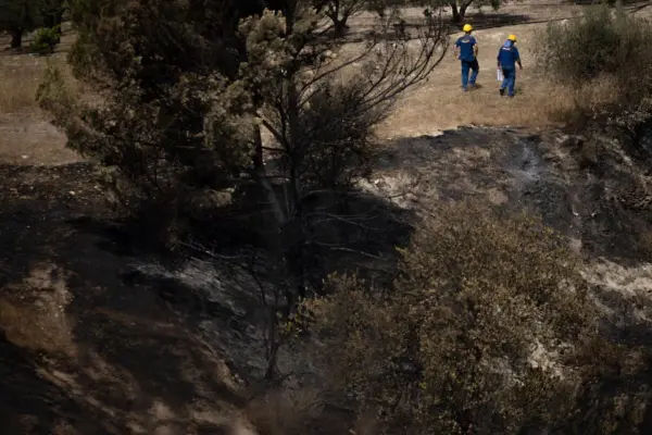 Last major sweep in Los Gallardos: one hundred operatives scour 217 burned hectares in a search for life or death