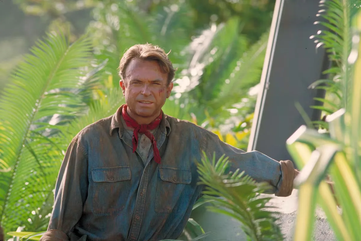 Actor Sam Neill, star of ‘Jurassic Park’, dies at 78 years old