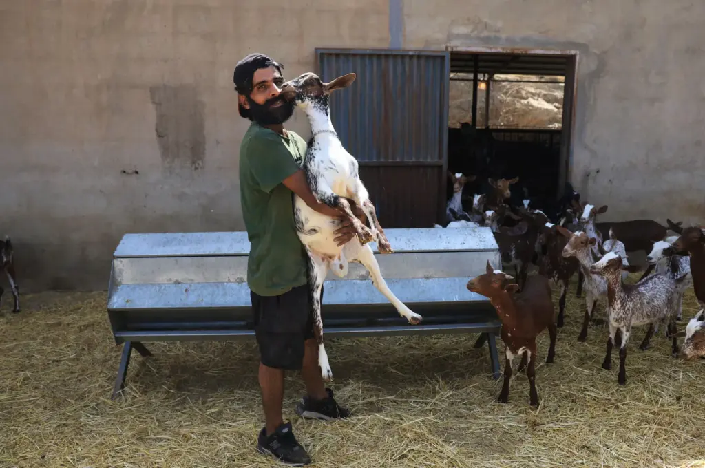 Waheed, the last shepherd of Bédar: “I risked my life for my animals”