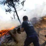Latest news on wildfires, live | The fire in Madrid remains without spread during the night