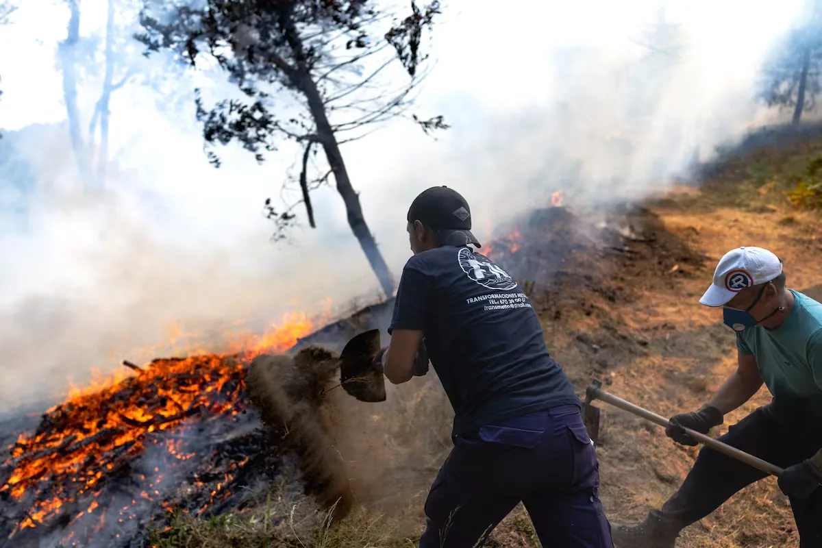 Latest news on wildfires, live | The fire in Madrid remains without spread during the night