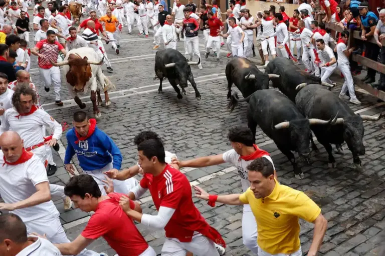 The nobility and speed of the miuras allow exciting races in a clean seventh running of the San Fermín