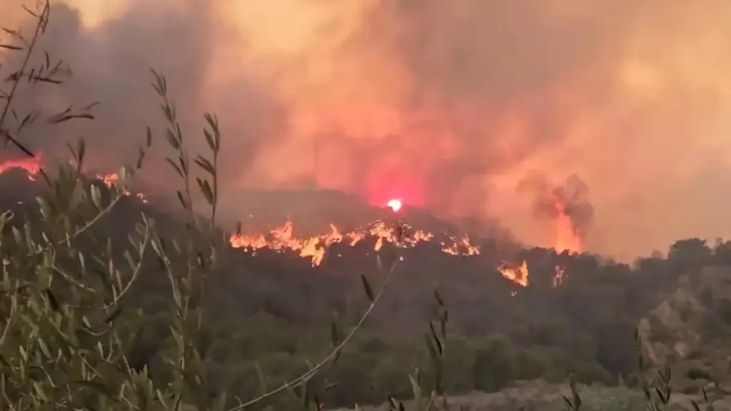 Images of one of the survivors of the Los Gallardos fire: “Good thing I didn’t leave”