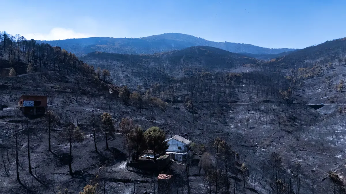 The fire's trail from a drone's view: this is what's left of the Valle de Iruelas campsite and the surroundings of the El Burguillo dam
