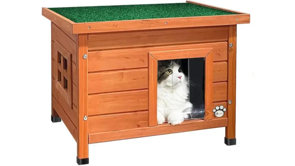 Casetas para gatos exterior julio 26 cuerpo 1