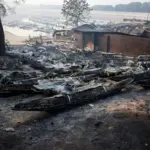 Social Security will provide the benefit for cessation of activity to self-employed workers affected by the fires