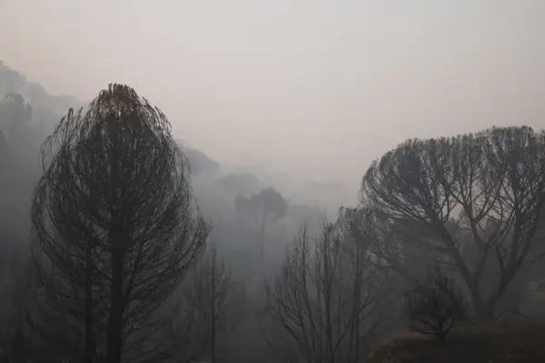 Fire Keys | Burned Hectares, Evacuations, and Closed Roads